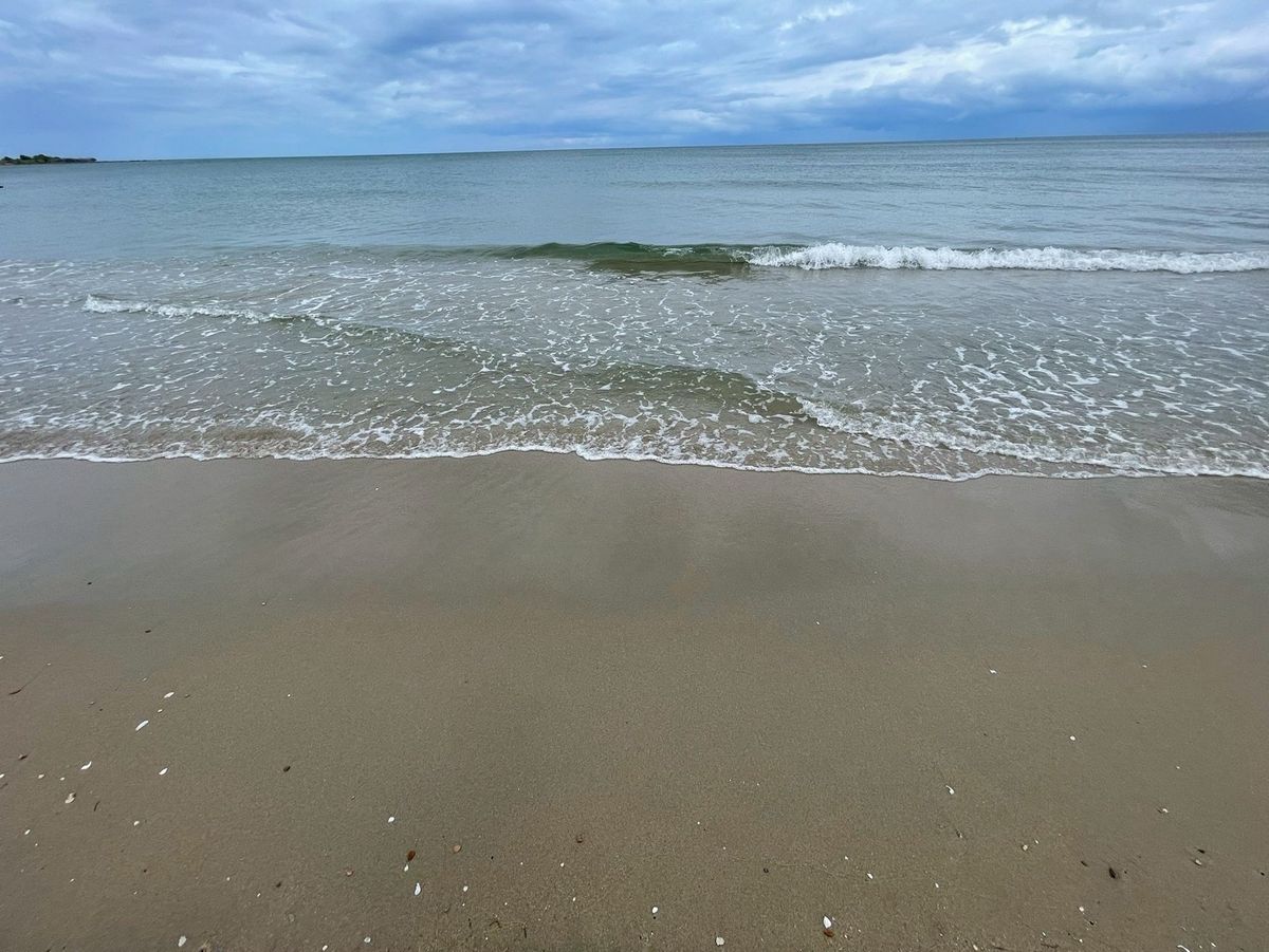 📢👇ขาย ที่ดิน ติดทะเล หาดสวย น้ำใส สงบเงียบ ราคาไม่แพง เหมาะที่จะทำบ้านพักตากอากาศ หรือ รีสอร์ต