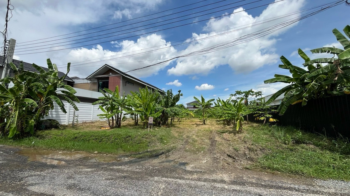 ขายที่ดิน พัฒนาการ ขนาด 191 ตร.ว ทำเลที่อยู่อาศัยศักยภาพ ใกล้ศรีนครินทร์–อ่อนนุช