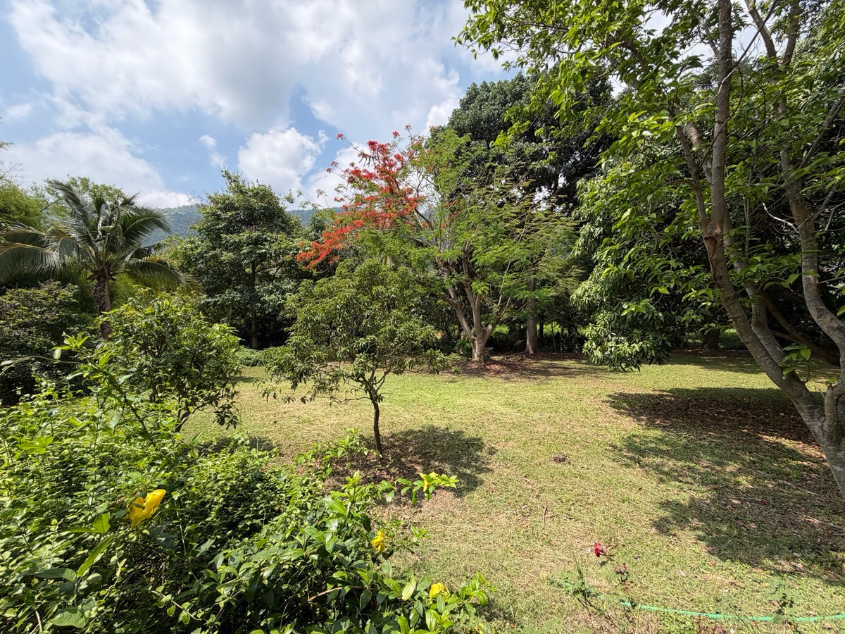 ขายบ้านสวน ปากช่องกลางดง ใกล้เขาใหญ่ ที่ดินขนาดใหญ่ 1 ไร่ 41 ตร.ว. เหมาะสำหรับบ้านพักตากอากาศ