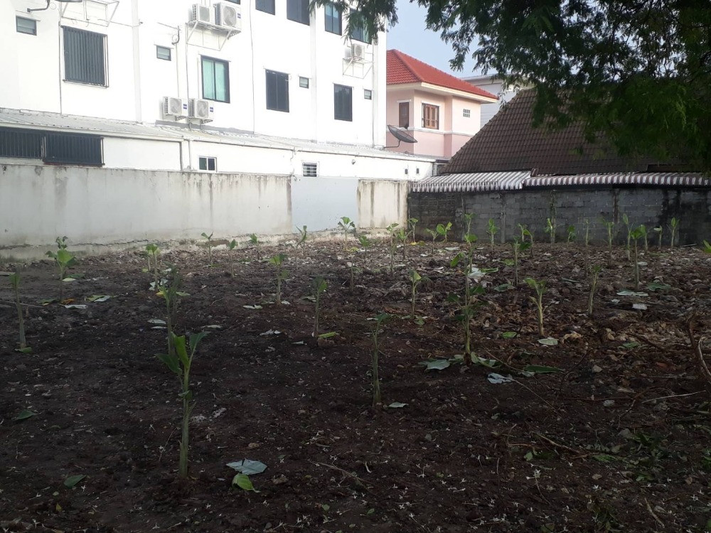 ขายที่ดิน ซอยวชิรธรรมสาธิต 51 ซอยทะลุเซนทรัลบางนา 5นาทีถึง 120 ตร.ว. แบ่ง 2 แปลงเรียบร้อย เหมาะสร้างบ้าน/โฮมออฟฟิศ