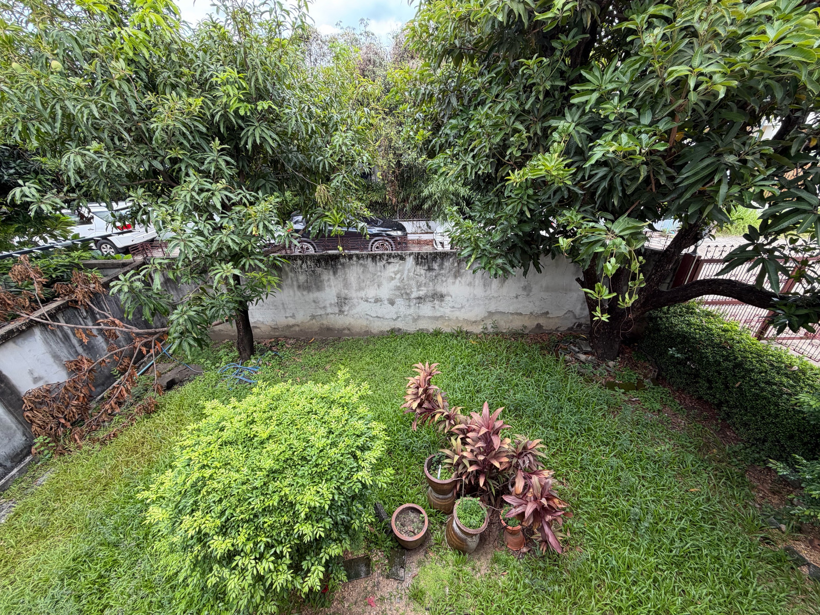 บ้านเดี่ยว 79 ตร.ว ใกล้ The Nine พระราม 9 เพียง 400 ม. ใกล้สนามราชมังคลาฯ 500 ม. ทำเลศักยภาพในเมือง