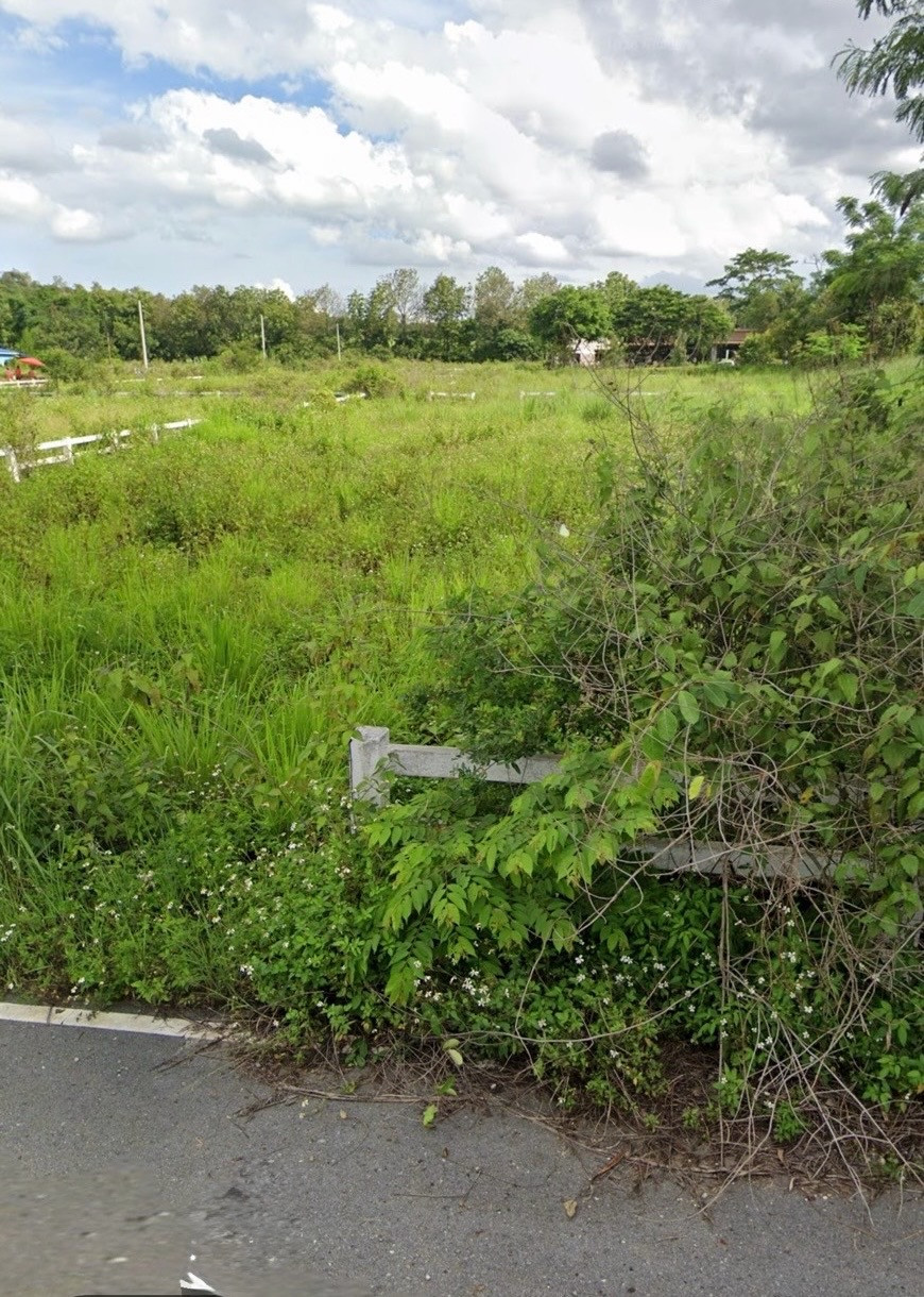 ขายที่ดิน 1 ไร่ วิวภูเขา คลองม่วง เขาใหญ่ ราคา 2.5 ล้านบาท เหมาะสร้างบ้านพักตากอากาศและลงทุน